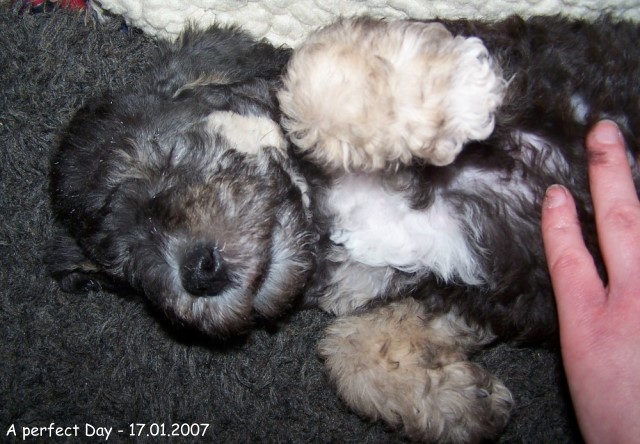 36-Ginza 17012007-1.jpg